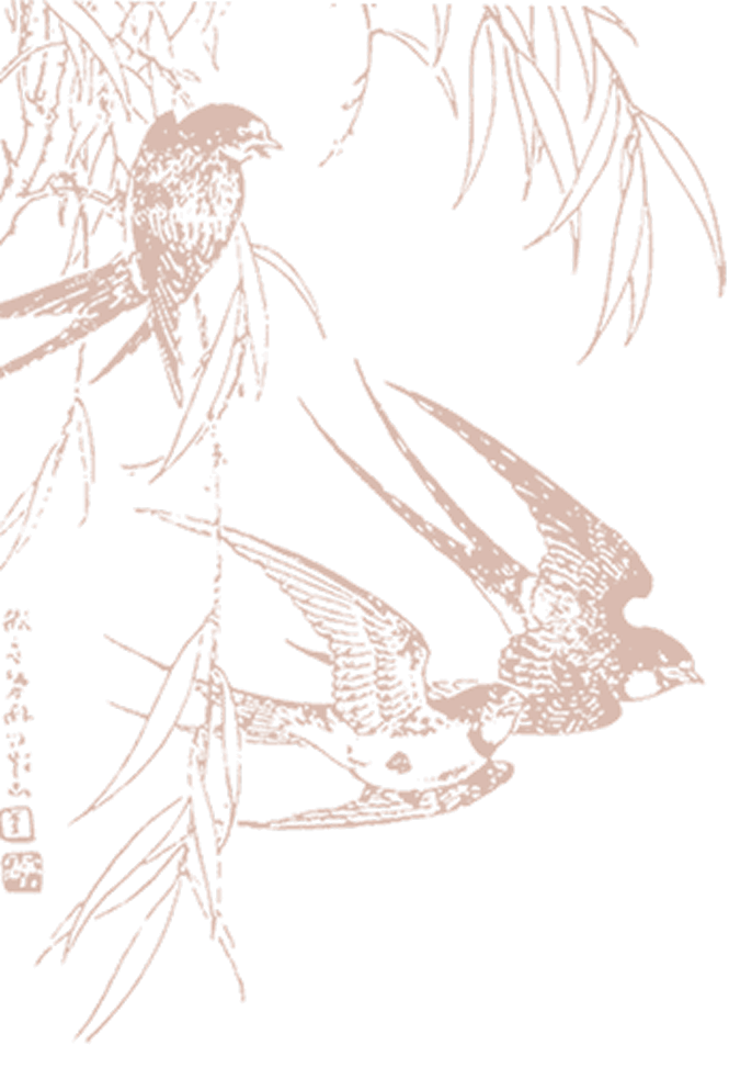 Nhà của Yến Sào